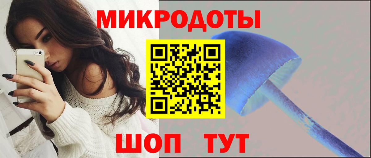 Галлюциногенные грибы Magic Shrooms  Вход с VPN  Хасавюрт 
